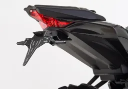 License plate holder kit including reflector and plate light